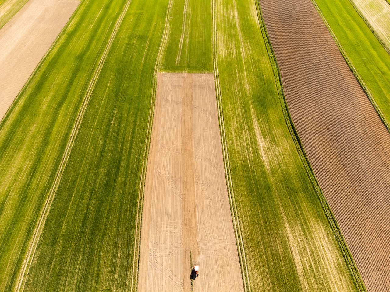 Drone shot of vibrant spring fields and a lone tractor in the Polish countryside.