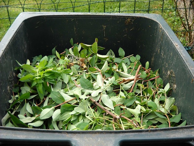 dmoreaurh green waste 486011 640