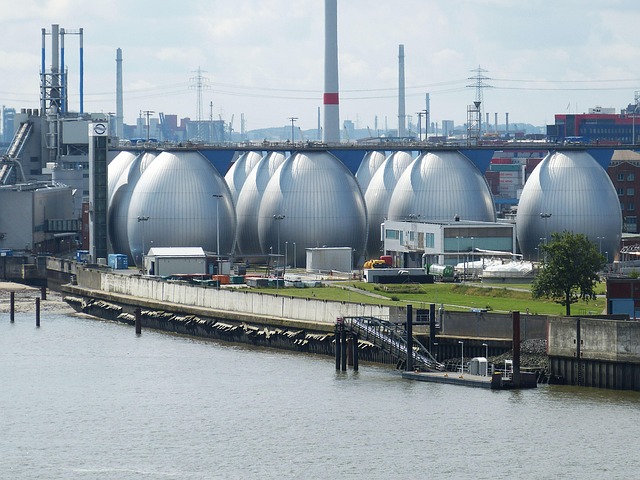 falco hamburg 889657 640